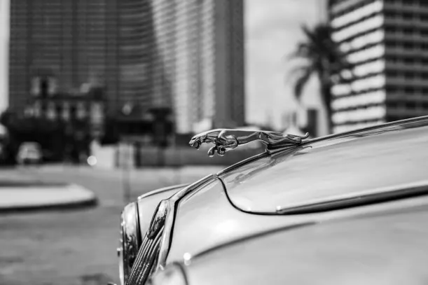 20Bets Casino Aplicación Android/iOS